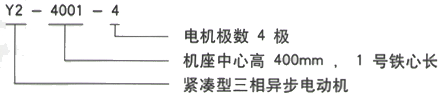 YR系列(H355-1000)高压YJTFKK4002-4三相异步电机西安西玛电机型号说明